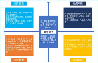 物联网全景动态图谱2.0 盘点国内主要计算机视觉算法初创公司